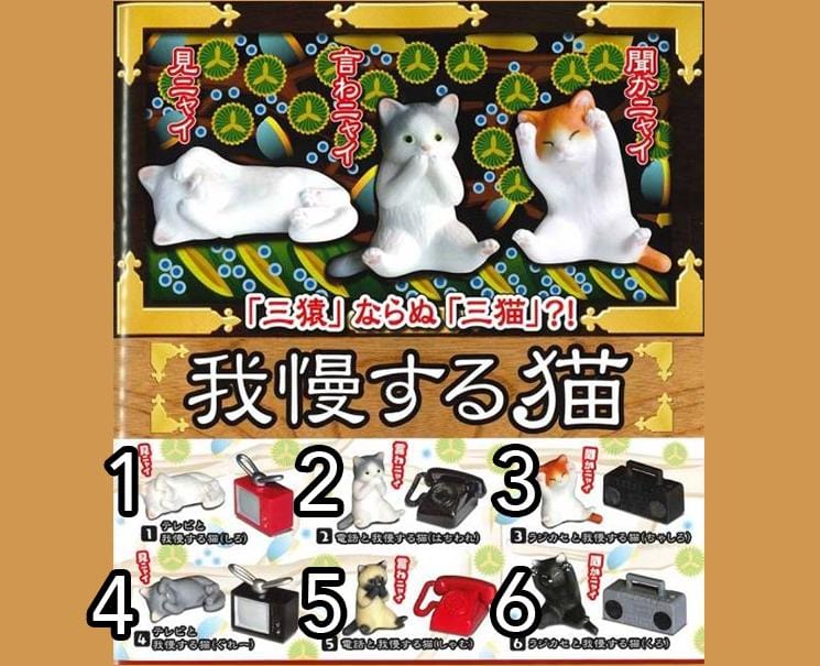 Patient Cats Anime & Brands Japan Crate Store