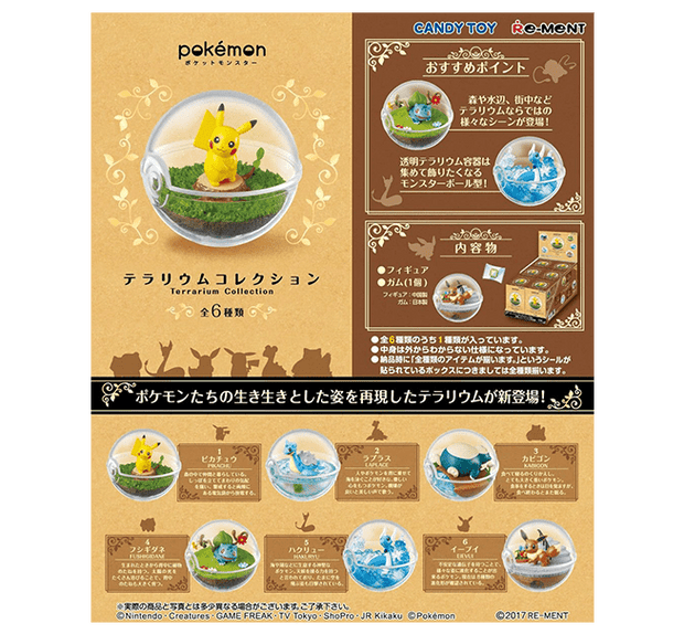 Pokemon Terrarium Collection Blind Box Vol. 1 Anime & Brands Japan Crate Store