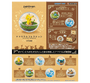 Pokemon Terrarium Collection Blind Box Vol. 1 Anime &amp; Brands Japan Crate Store thumbnail 2