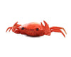 Remote Control Crab Toys and Games Sugoi Mart