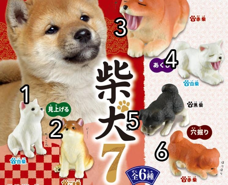 Shiba Inu Gachapon Anime & Brands Japan Crate Store