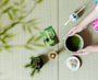 Experience Set Matcha thumbnail 3